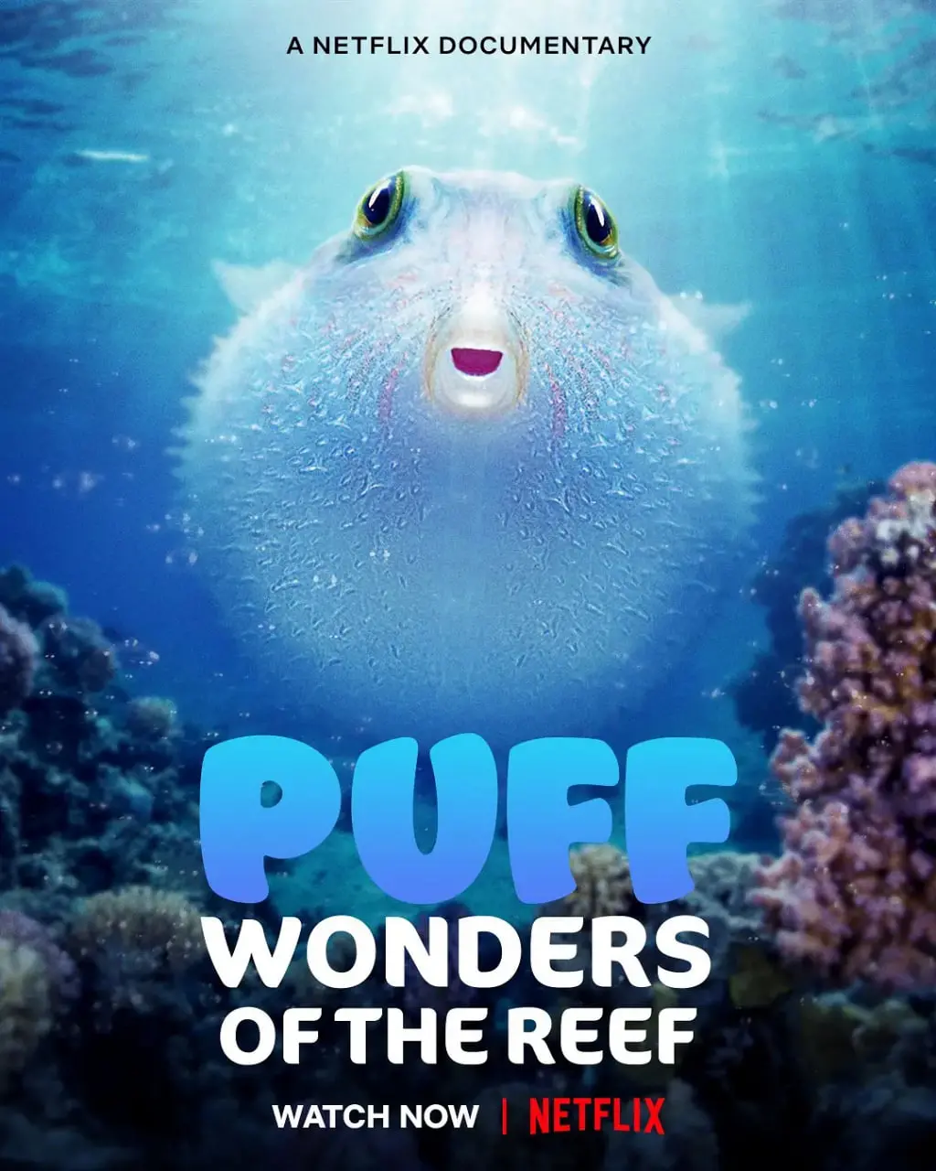 《河豚之家：神奇的珊瑚礁》：一场色彩斑斓的海洋童话，揭秘珊瑚礁的奥秘与危机！