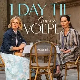 《狐狸女士 第二季》：职场生存法则与个人成长并驾齐驱，独立女性的喜剧蜕变之旅